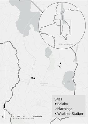 Farmer Preparedness for Building Resilient Agri-Food Systems: Lessons From the 2015/2016 El Niño Drought in Malawi